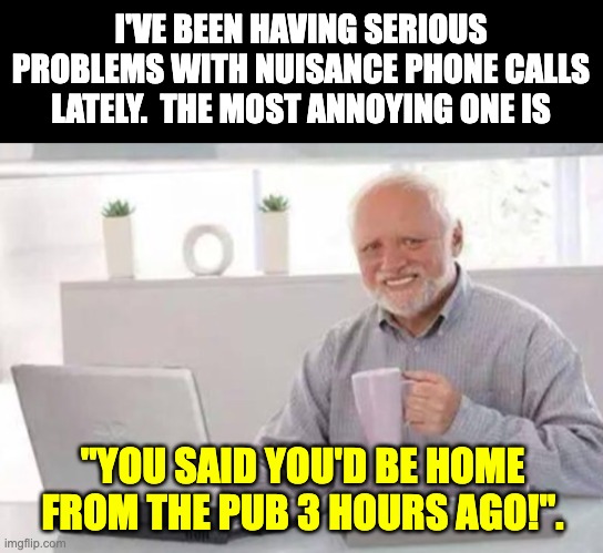 Nuisance | I'VE BEEN HAVING SERIOUS PROBLEMS WITH NUISANCE PHONE CALLS LATELY.  THE MOST ANNOYING ONE IS; "YOU SAID YOU'D BE HOME FROM THE PUB 3 HOURS AGO!". | image tagged in harold | made w/ Imgflip meme maker