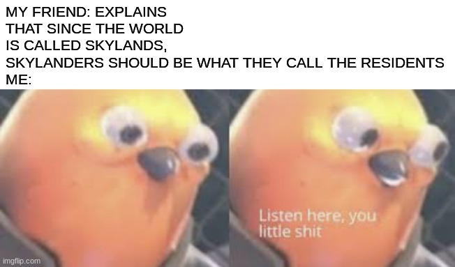 Listen here you little shit bird | MY FRIEND: EXPLAINS THAT SINCE THE WORLD IS CALLED SKYLANDS, SKYLANDERS SHOULD BE WHAT THEY CALL THE RESIDENTS
ME: | image tagged in listen here you little shit bird,skylanders | made w/ Imgflip meme maker