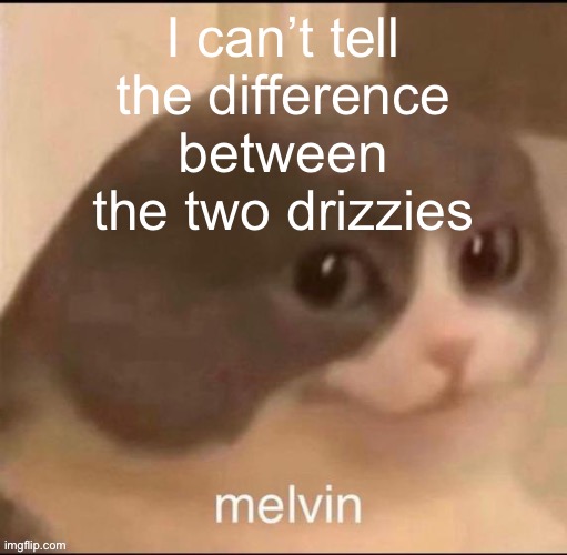 Like they have the exact same personality (almost) | I can’t tell the difference between the two drizzies | image tagged in melvin | made w/ Imgflip meme maker