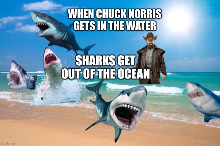 Chuck Norris fact |  WHEN CHUCK NORRIS GETS IN THE WATER; SHARKS GET OUT OF THE OCEAN | image tagged in chuck norris,chuck norris fact,funny memes | made w/ Imgflip meme maker