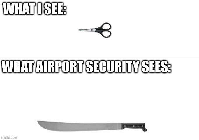 I kinda see why they wouldn't allow it, but come on it's only a tiny pair! | WHAT I SEE:; WHAT AIRPORT SECURITY SEES: | image tagged in what i see | made w/ Imgflip meme maker