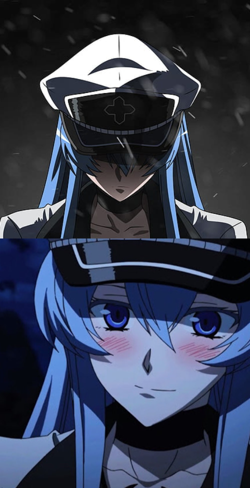 High Quality Angry Esdeath and Happy Esdeath Blank Meme Template