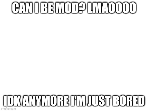 Idk anymore |  CAN I BE MOD? LMAOOOO; IDK ANYMORE I'M JUST BORED | image tagged in blank white template | made w/ Imgflip meme maker