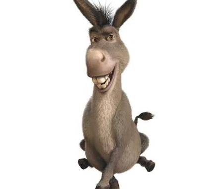 Donkey Blank Meme Template