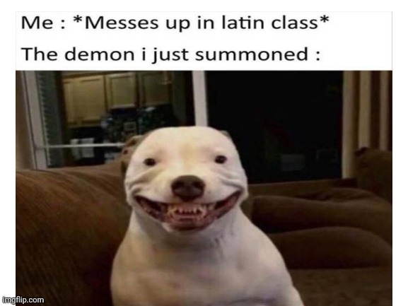 oops | image tagged in latin,demons | made w/ Imgflip meme maker