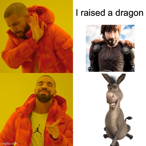 Nice | I raised a dragon | image tagged in memes,drake hotline bling | made w/ Imgflip meme maker