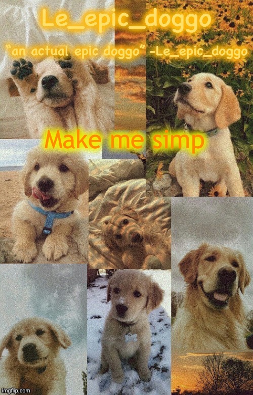 Doggo temp by doggo. Wait what that’s confusing | Make me simp | image tagged in doggo temp by doggo wait what that s confusing | made w/ Imgflip meme maker