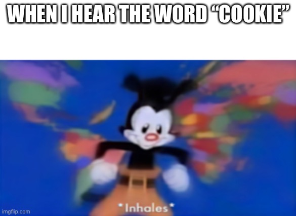 SNIFF | WHEN I HEAR THE WORD “COOKIE” | image tagged in yakko inhale | made w/ Imgflip meme maker
