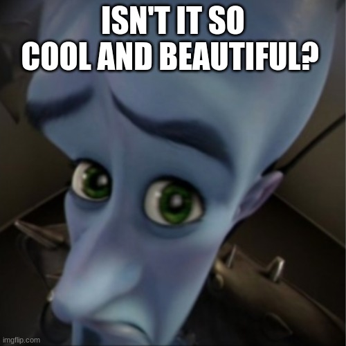 Megamind peeking | ISN'T IT SO COOL AND BEAUTIFUL? | image tagged in megamind peeking | made w/ Imgflip meme maker