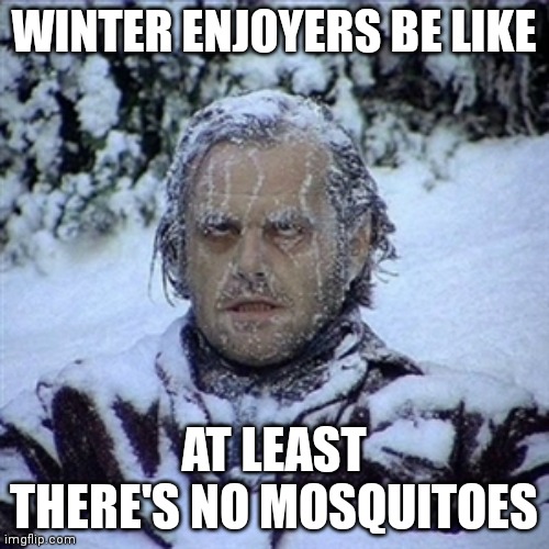 nothing happened in china during 1989 | WINTER ENJOYERS BE LIKE AT LEAST THERE'S NO MOSQUITOES | image tagged in frozen guy | made w/ Imgflip meme maker