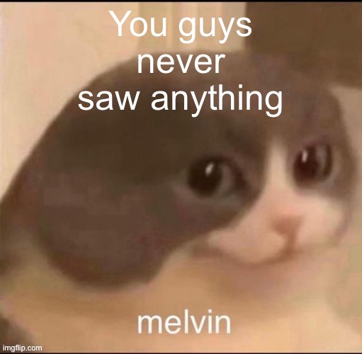 @elfiya @everyone who saw my recent deleted post | You guys never saw anything | image tagged in melvin | made w/ Imgflip meme maker