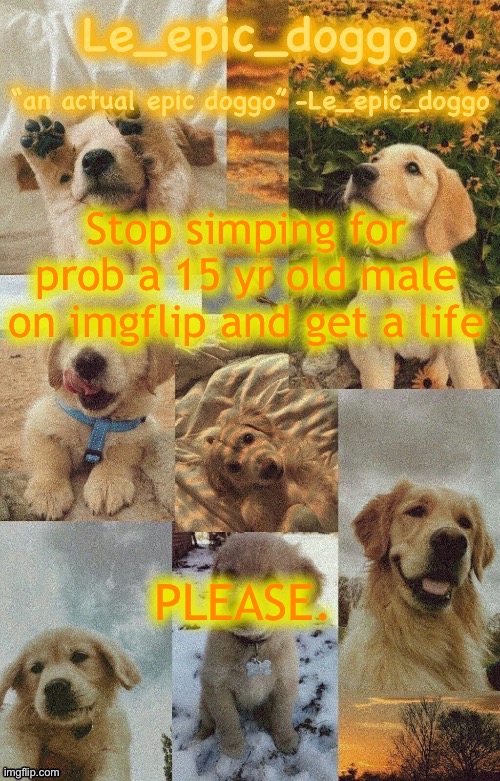 Doggo temp by doggo. Wait what that’s confusing | Stop simping for prob a 15 yr old male on imgflip and get a life; PLEASE. | image tagged in doggo temp by doggo wait what that s confusing | made w/ Imgflip meme maker