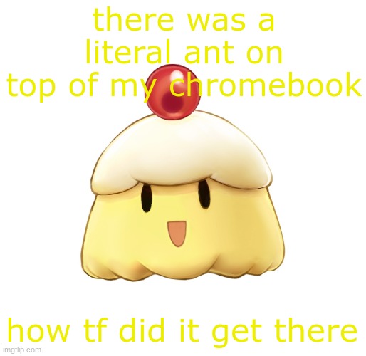 beloved souffle | there was a literal ant on top of my chromebook; how tf did it get there | image tagged in beloved souffle | made w/ Imgflip meme maker