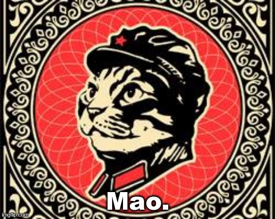Red Tabby | Mao. | image tagged in china,cat | made w/ Imgflip meme maker