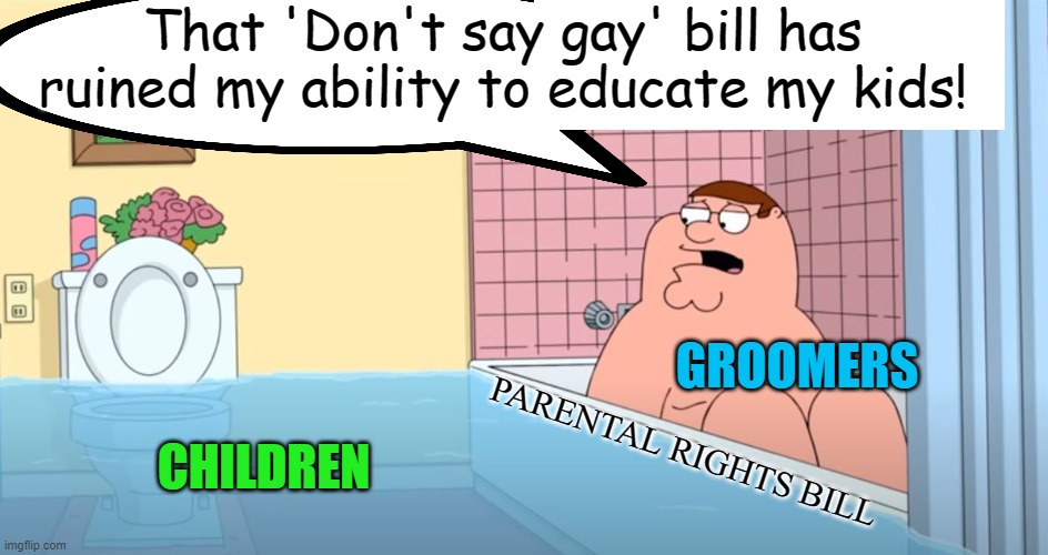 Is it education or political indoctrination? | That 'Don't say gay' bill has ruined my ability to educate my kids! GROOMERS; PARENTAL RIGHTS BILL; CHILDREN | image tagged in political meme,parental rights,pedophiles,indoctrination,teachers | made w/ Imgflip meme maker