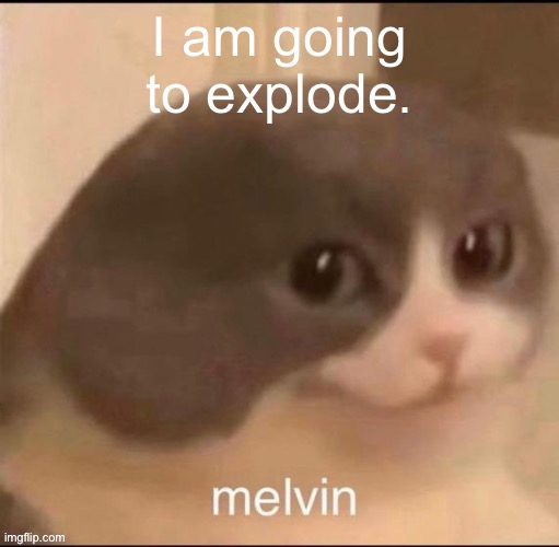 melvin | I am going to explode. | image tagged in melvin | made w/ Imgflip meme maker
