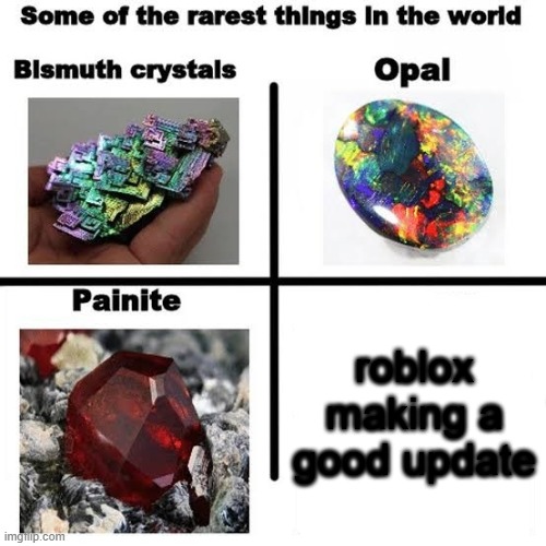 Some of the rarest things in the world | roblox making a good update | image tagged in some of the rarest things in the world | made w/ Imgflip meme maker