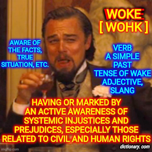 I Do Not Think That Word Means What Trumpublicans Think It Does. They're Basically Calling Democrats ... Smart.  ooh the burn | VERB
A SIMPLE PAST TENSE OF WAKE

ADJECTIVE, SLANG; WOKE
[ WOHK ]; WOKE; AWARE OF THE FACTS, TRUE SITUATION, ETC. HAVING OR MARKED BY AN ACTIVE AWARENESS OF SYSTEMIC INJUSTICES AND PREJUDICES, ESPECIALLY THOSE RELATED TO CIVIL AND HUMAN RIGHTS; dictionary. com | image tagged in memes,laughing leo,dumbasses,trumpublican terrorists,stupid trumpublicans,ignorant conservatives | made w/ Imgflip meme maker