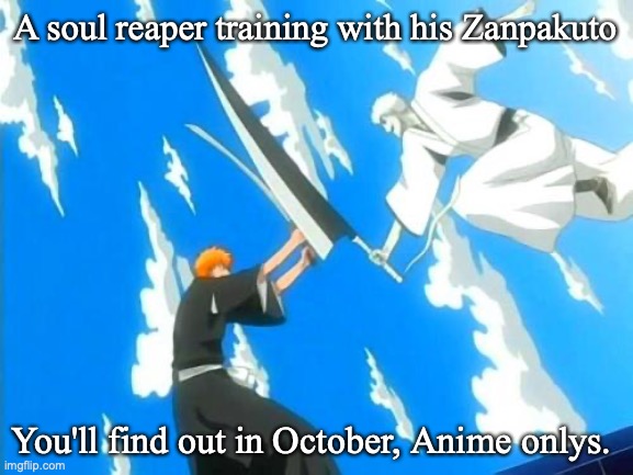 I don't use this term derogatorily. I'm anime only with like, 90% of the series I watch. But yeah. | A soul reaper training with his Zanpakuto; You'll find out in October, Anime onlys. | image tagged in bleach,anime,manga | made w/ Imgflip meme maker