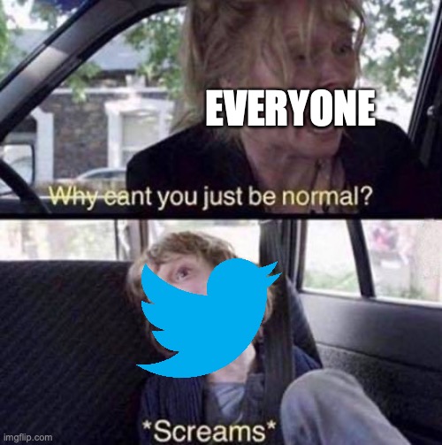 am I right or am I right? | EVERYONE | image tagged in why can't you just be normal,twitter | made w/ Imgflip meme maker