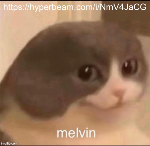 Once again join my dilly little hyperbeam because i have no friends (we are watching breaking bad funny moments) | https://hyperbeam.com/i/NmV4JaCG | image tagged in melvin | made w/ Imgflip meme maker