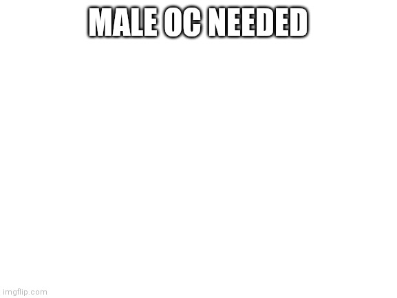 Blank White Template | MALE OC NEEDED | image tagged in blank white template | made w/ Imgflip meme maker