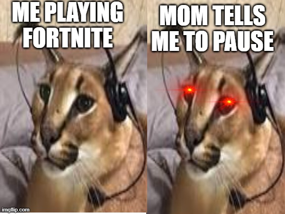 Me playing | ME PLAYING FORTNITE; MOM TELLS ME TO PAUSE | image tagged in mom,gaming | made w/ Imgflip meme maker