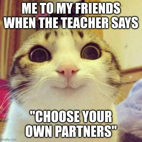 i moved away from my friends :'( but when we lived near each other this was true! | ME TO MY FRIENDS WHEN THE TEACHER SAYS; "CHOOSE YOUR OWN PARTNERS" | image tagged in memes,smiling cat,lol,relatable,cats | made w/ Imgflip meme maker