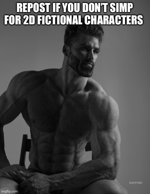Giga Chad | REPOST IF YOU DON’T SIMP FOR 2D FICTIONAL CHARACTERS | image tagged in giga chad | made w/ Imgflip meme maker