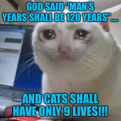 Crying cat | GOD SAID “MAN’S YEARS SHALL BE 120 YEARS”…. AND CATS SHALL HAVE ONLY 9 LIVES!!! | image tagged in crying cat | made w/ Imgflip meme maker