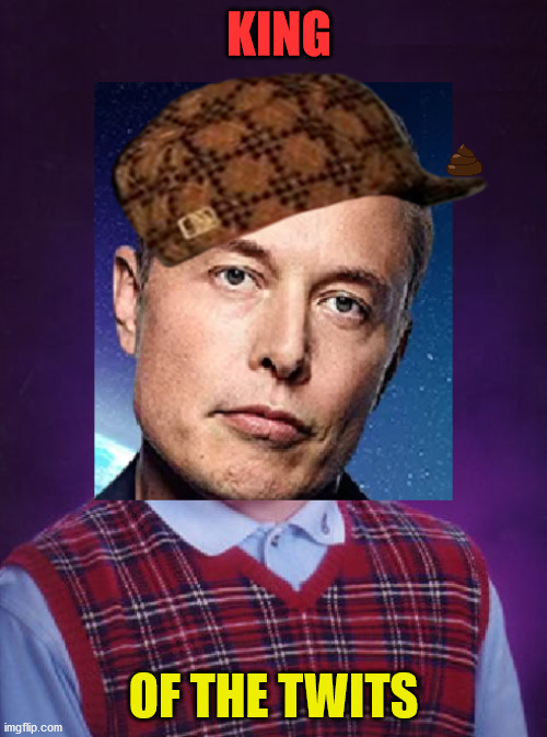 Bad Luck Billionaire | KING; OF THE TWITS | image tagged in bad luck brian,twitter,billionaire,bad,luck,musk | made w/ Imgflip meme maker