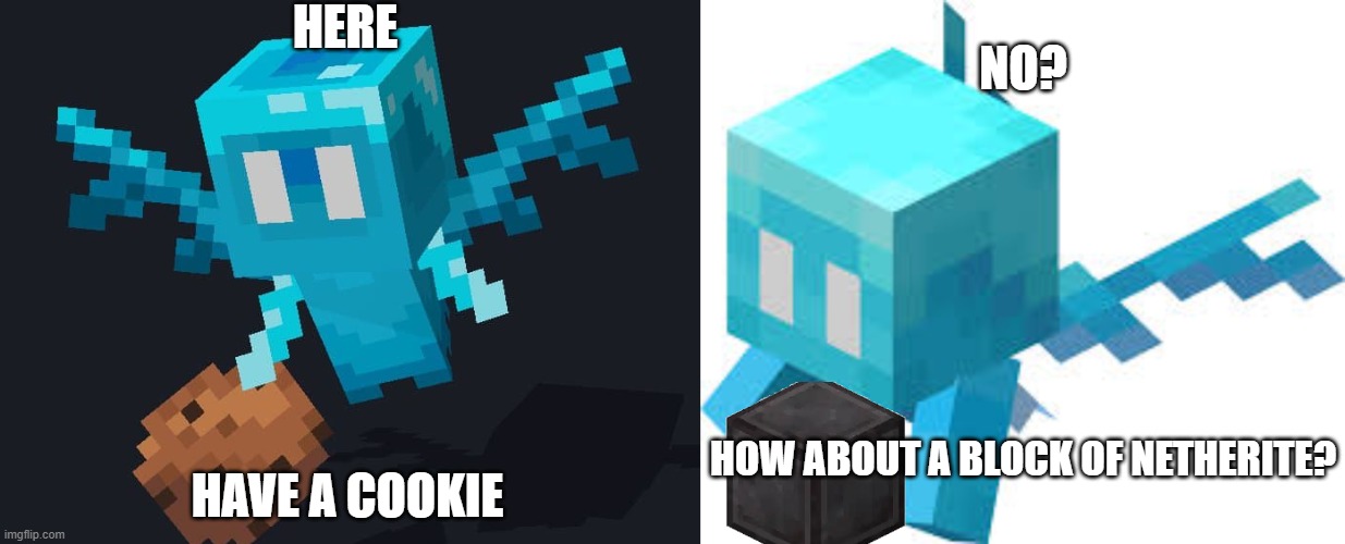 HERE; NO? HAVE A COOKIE; HOW ABOUT A BLOCK OF NETHERITE? | image tagged in allay,minecraft allay | made w/ Imgflip meme maker