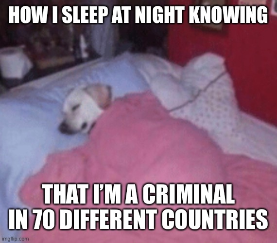 insert funny title | HOW I SLEEP AT NIGHT KNOWING; THAT I’M A CRIMINAL IN 70 DIFFERENT COUNTRIES | image tagged in how i sleep at night | made w/ Imgflip meme maker
