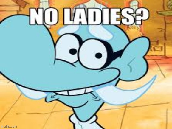 No ladies? | image tagged in memes,no bitches | made w/ Imgflip meme maker