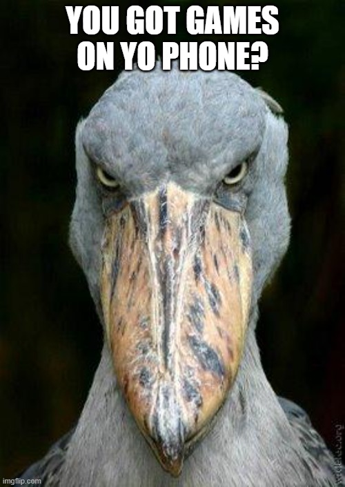Scary bird | YOU GOT GAMES ON YO PHONE? | image tagged in scary bird | made w/ Imgflip meme maker