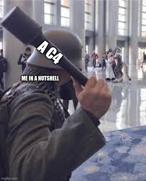 you guys are weird | A C4; ME IN A NUTSHELL | image tagged in german soldier throwing grenade at furries,cringe | made w/ Imgflip meme maker