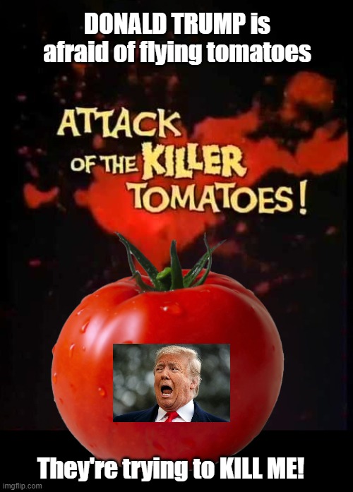 Attack of the Killer Tomatoes! | DONALD TRUMP is afraid of flying tomatoes; They're trying to KILL ME! | image tagged in tomatoes,trump,killer,vegetable,stupid | made w/ Imgflip meme maker