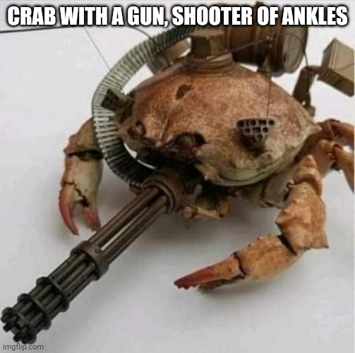  CRAB WITH A GUN, SHOOTER OF ANKLES | image tagged in crabs | made w/ Imgflip meme maker