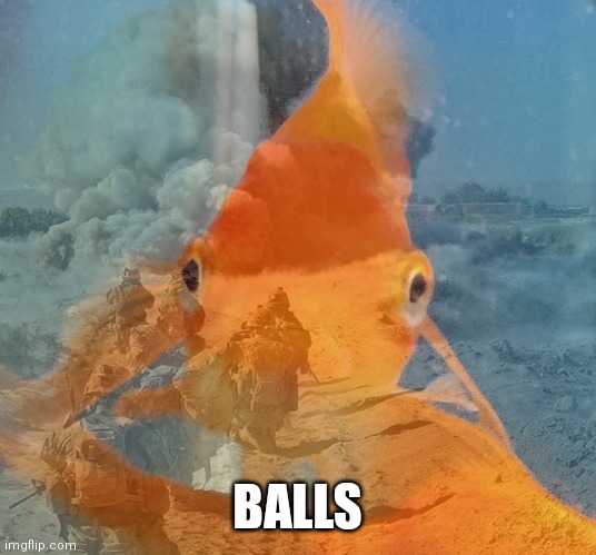 Fish PTSD | BALLS | image tagged in fish ptsd | made w/ Imgflip meme maker