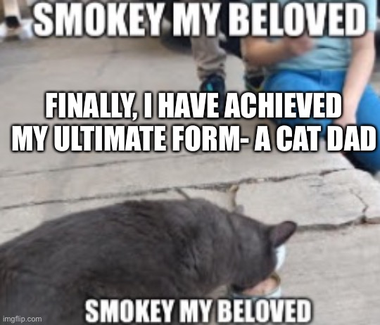 SMOKEY MY BELOVED | FINALLY, I HAVE ACHIEVED MY ULTIMATE FORM- A CAT DAD | image tagged in smokey my beloved | made w/ Imgflip meme maker