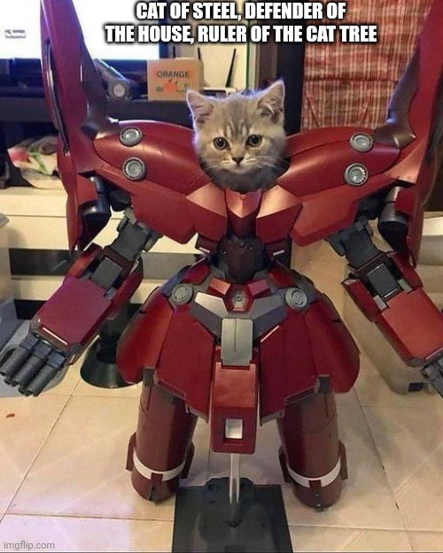 I made a stream about bossfights (Link in comments) | CAT OF STEEL, DEFENDER OF THE HOUSE, RULER OF THE CAT TREE | image tagged in cat memes,robot | made w/ Imgflip meme maker