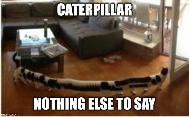 Caterpillar | CATERPILLAR; NOTHING ELSE TO SAY | image tagged in caterpillar | made w/ Imgflip meme maker