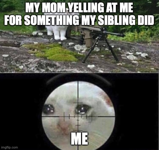 it sucks when it happens | MY MOM YELLING AT ME FOR SOMETHING MY SIBLING DID; ME | image tagged in sniper cat,funny,memes,fun,mom,siblings | made w/ Imgflip meme maker