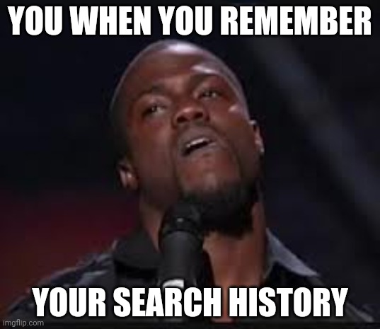 Kevin Hart | YOU WHEN YOU REMEMBER YOUR SEARCH HISTORY | image tagged in kevin hart | made w/ Imgflip meme maker