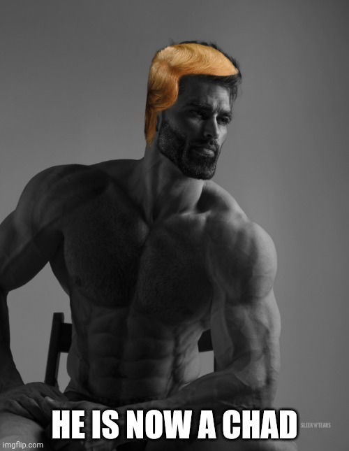 Giga Chad | HE IS NOW A CHAD | image tagged in giga chad | made w/ Imgflip meme maker