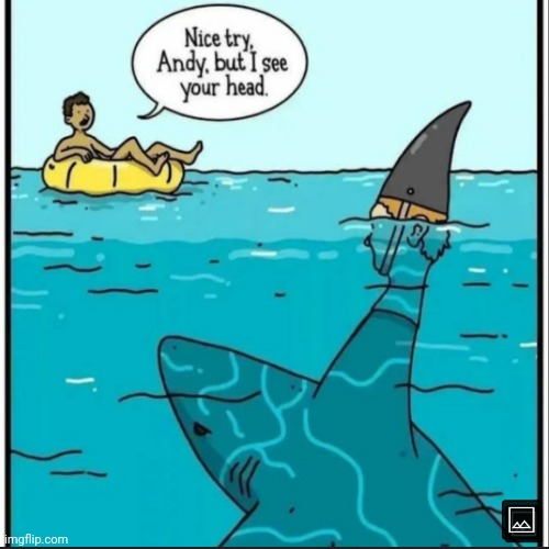 Something is not right | image tagged in great white shark,attack,comics | made w/ Imgflip meme maker