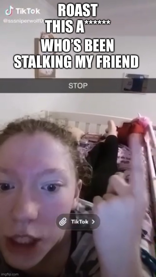 This  B*TCH HAS BEEN STALKING MY FRIEND | WHO’S BEEN STALKING MY FRIEND; ROAST THIS A****** | image tagged in bitch,asshole,stalker,stalker girl | made w/ Imgflip meme maker