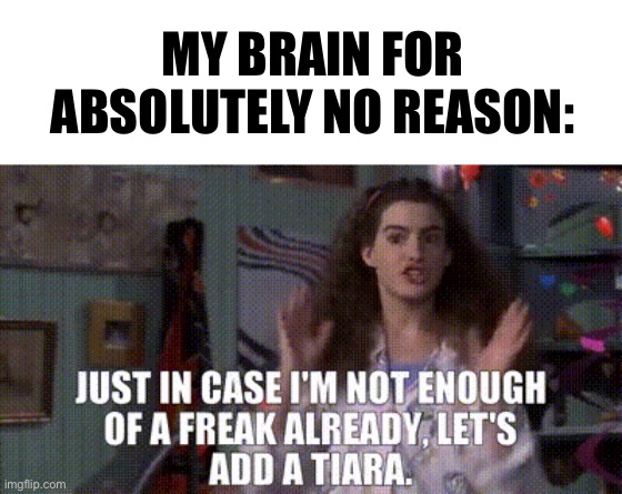 Let’s add a tiara | MY BRAIN FOR ABSOLUTELY NO REASON: | image tagged in princess diaries,funny memes | made w/ Imgflip meme maker