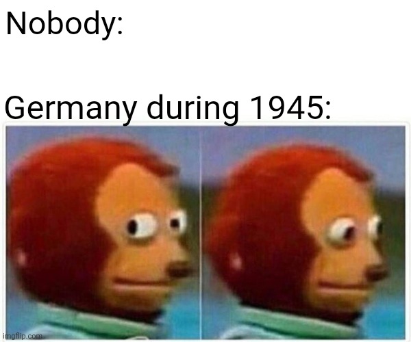 Monkey Puppet Meme | Germany during 1945: Nobody: | image tagged in memes,monkey puppet | made w/ Imgflip meme maker