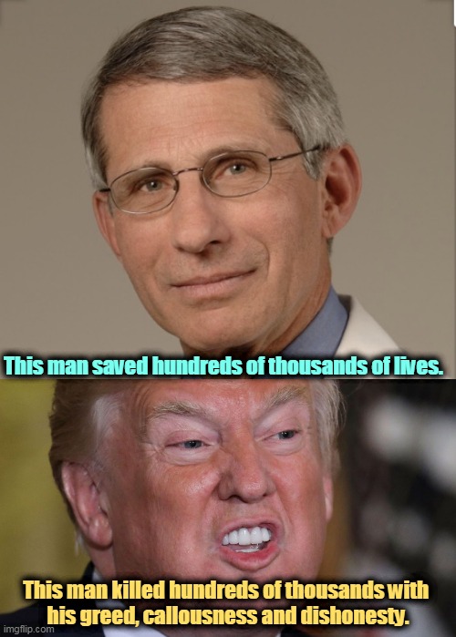 Hero above, villain below. | This man saved hundreds of thousands of lives. This man killed hundreds of thousands with 
his greed, callousness and dishonesty. | image tagged in dr fauci,hero,trump,villain,murderer | made w/ Imgflip meme maker